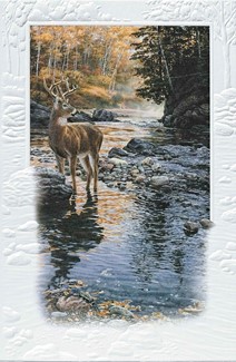 Shallow Crossing | Deer greeting cards