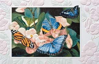 Colorful Butterflies | Embossed butterfly greeting cards