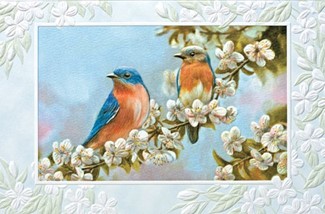 Bluebird Couple | Songbird sympathy greeting cards