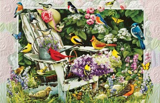 Garden Party | Songbird get well greeting cards