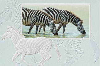 Great Plains Zebras | African wildlife greeting cards