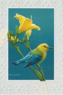 Prothonotary Warbler | Coping greeting cards
