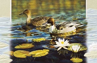 Afternoon at the Pond | Ducks embossed greeting cards