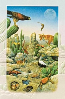 Desert Animals | Desert wildlife greeting cards