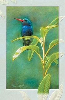 Crown Jewel | Hummingbird embossed sympathy cards