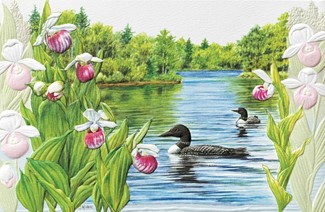 Loons & Lady's Slippers (AN) | Anniversary Wedding greeting cards