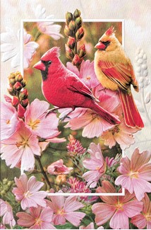 Cardinals in Mallow | Embossed love friendship greeting cards