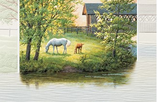 Time of Peace | Horse themed greeting cards