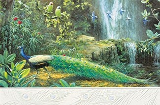 Enchanted Valley | Peacock inspirational greeting cards