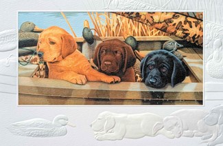 Wet Behind the Ears | Dog lover birthday greeting cards