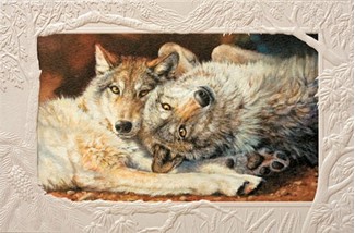 Happy Nappers | Wolf birthday greeting cards