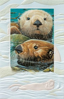 Otterwise | Sea life greeting cards