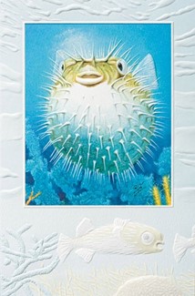Puffer Fish | Fish birthday cards