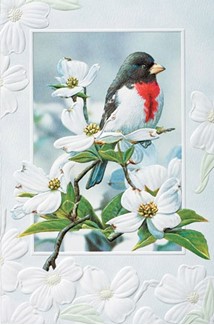 Rose Breasted Grosbeak | Birthday bird greeting cards