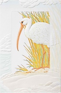 Ibis | Shorebird embossed birthday cards