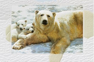 Mother of Pearls | Polar bear birthday greeting cards