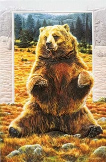 Grizzly Bear | Bear birthday cards