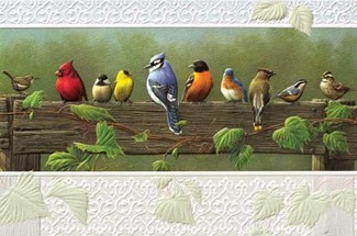 Railbirds | Songbirds embossed greeting cards