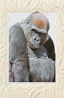 Pouting Gorilla | Photographic greeting cards