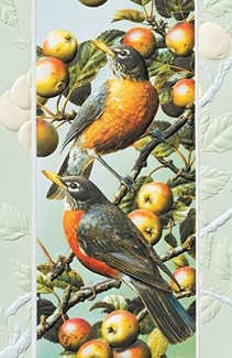 American Robins | Songbird birthday cards, Made in America