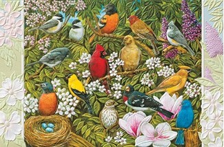 Garden Birds | Embossed songbird birthday cards