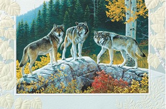 Trio of Wolves | Wildlife birthday cards