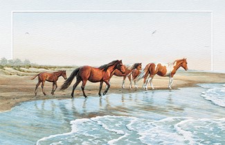 Chincoteague Ponies | Beach themed greeting cards