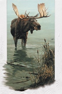 Silent Waters | Inspirational birthday moose greeting cards, Made in the USA