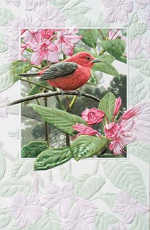 Scarlet Tanager | Songbird inspirational birthday greeting cards