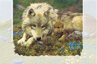 In A Safe Place | Wolf pup greeting cards