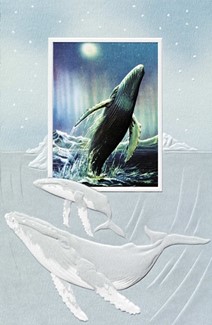 Humpback Whale | Birthday inspirational oceanic greeting cards