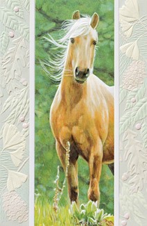 Windswept | Horse lover greeting cards