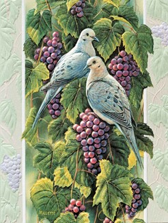 Mourning Doves | Anniversary wedding note cards