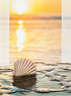 Sunset Shell | Seashell sympathy greeting cards
