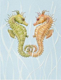 Seahorse Sweethears | Seahorse note cards