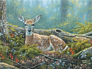 Endearing | Deer themed encouragement greeting cards