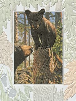 Bear Cub | Wildlife encouragement cards