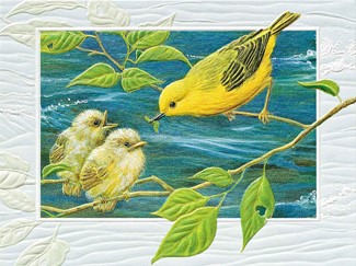 Yellow Warbler | Songbird encourangement note cards