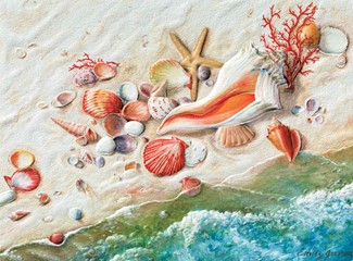 Treasures of the Sea | Seashell greeting cards