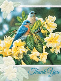 Bluebird Bliss | Songbird thank you note cards