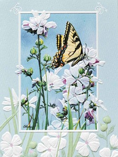 Swallowtail | Butterfly sympathy note cards