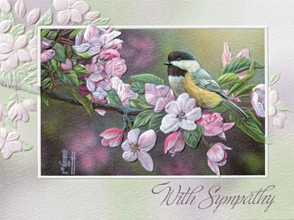 Perched in Pink | Chickadee sympathy note cards