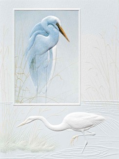 Solitary Egret | Sympathy note cards