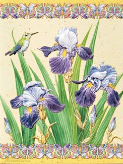 Iris Elegance | Hummingbird sympathy greeting cards