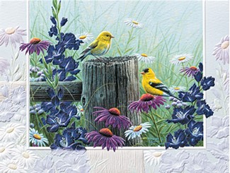 Goldfinch Garden | Bird themed get well greeting cards
