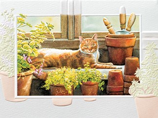 In The Greenhouse | Cat themed thank you cards