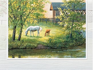 Peaceful Meadow | Horse themed greeting cards