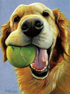 Molly Has A Ball | Encouragement greeting cards