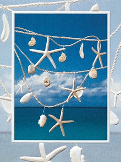 Sunny Day Shells | American made greeting cards