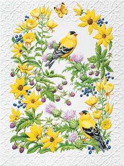 Nestled in Thistle | Goldfinch birthday note cards